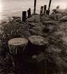Logs on the Hudson Newburgh New York