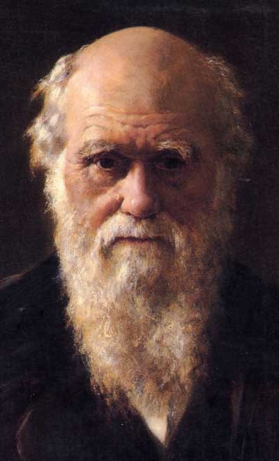 image from http://darwin.wcupa.edu/beneski/moredarwin/scientist/darwin/darwin-10.jpg